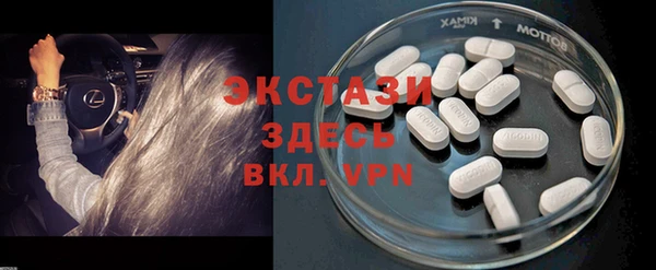 молекула духа Мегион