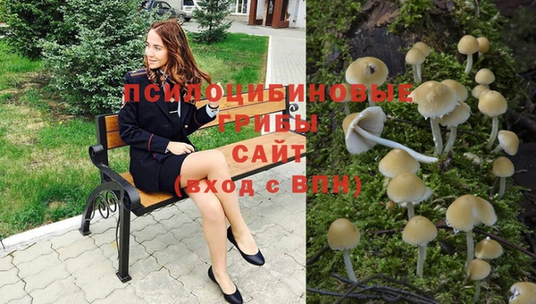 хмурый Медногорск