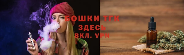 хмурый Медногорск